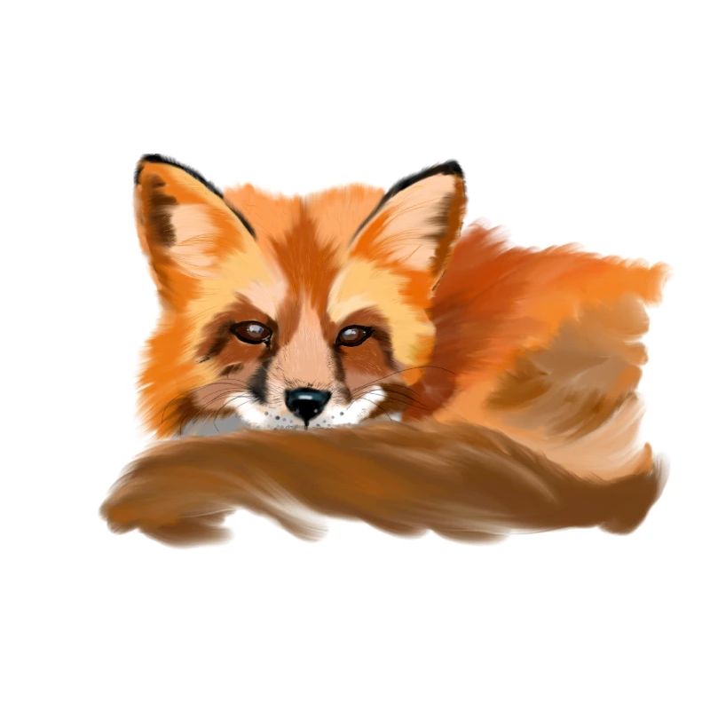 fox