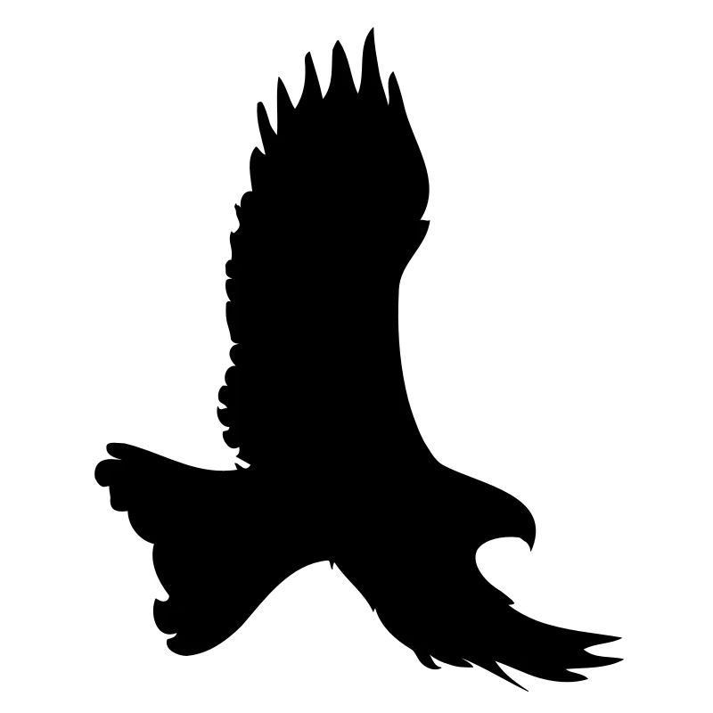 adler