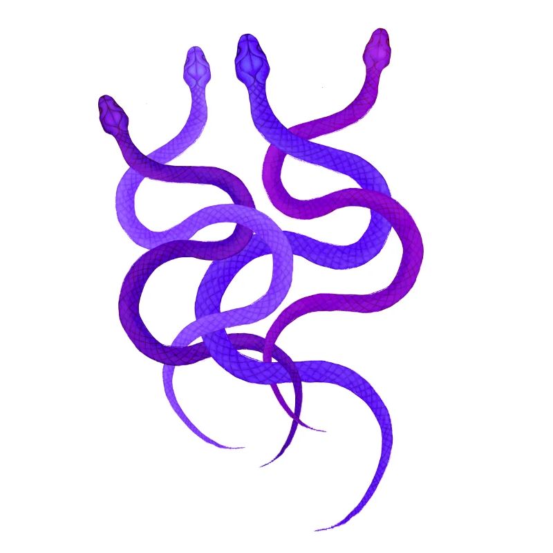 Conception de serpent simple, 4 pythons sauvages