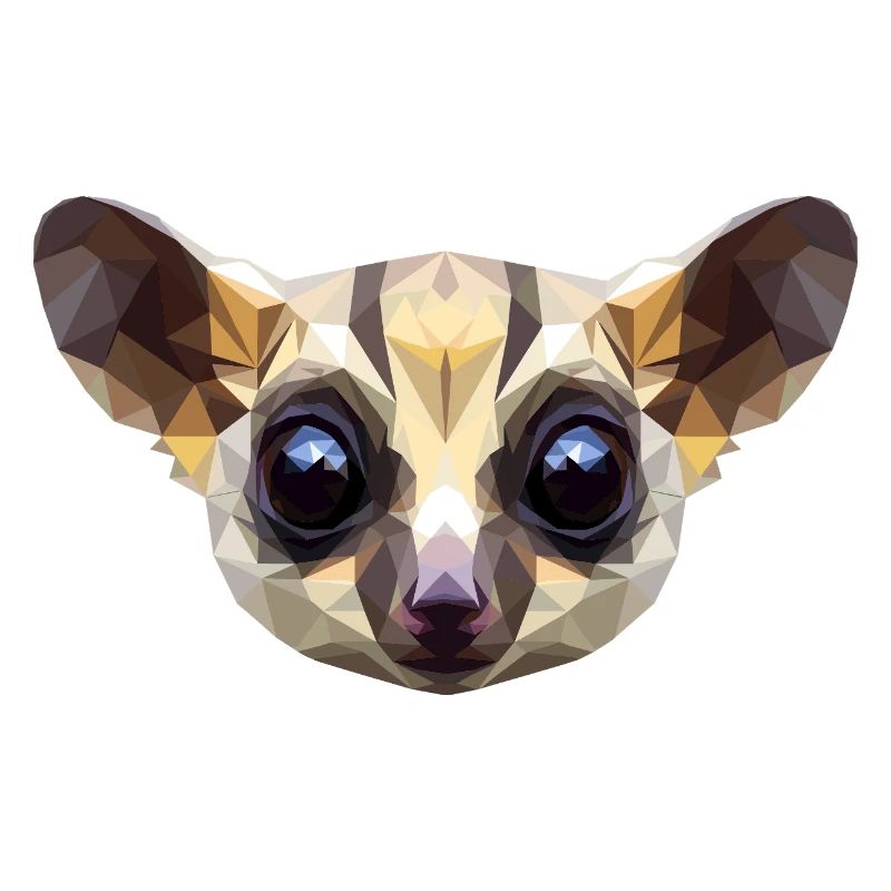 Galago Buisson Bébé Singe Galagos Singe Mignon Galago