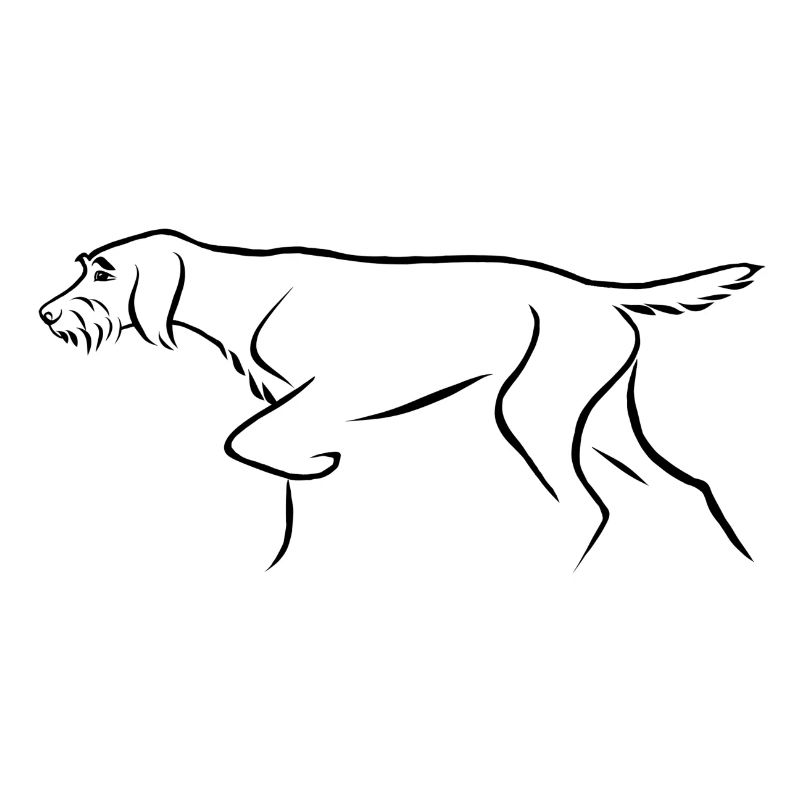 German Pointing dog