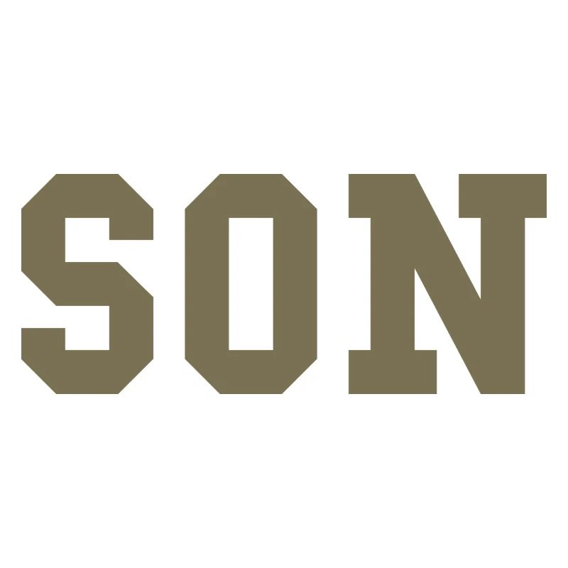 SON – Déclaration de style universitaire