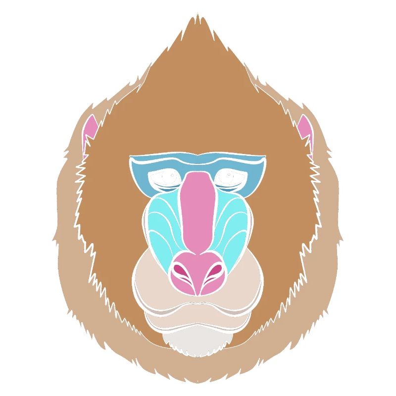 Baboon Baboon Primate Monkey Monkey