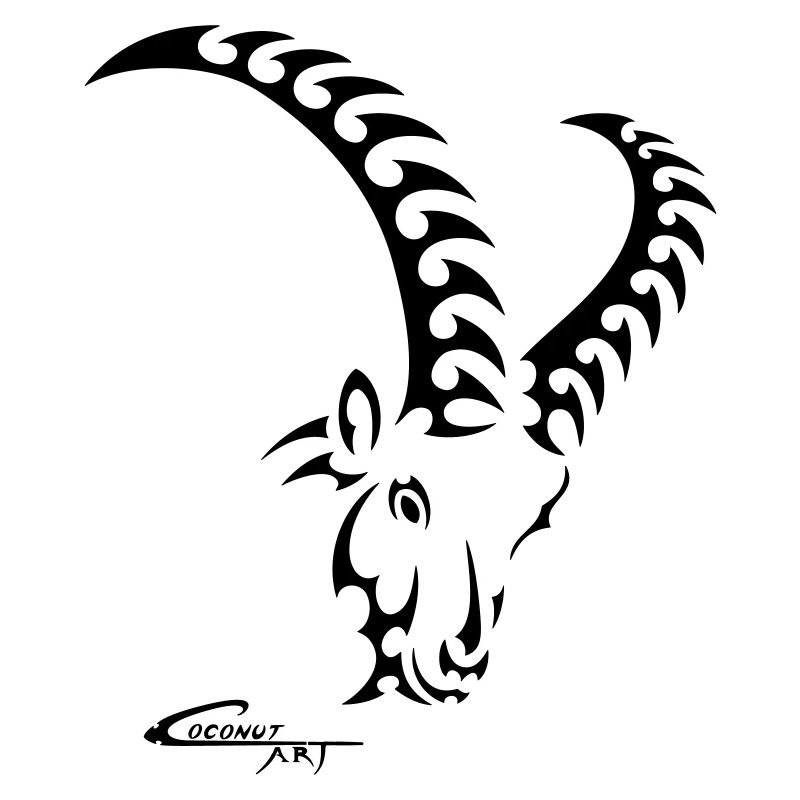 Sternzeichen Steinbock