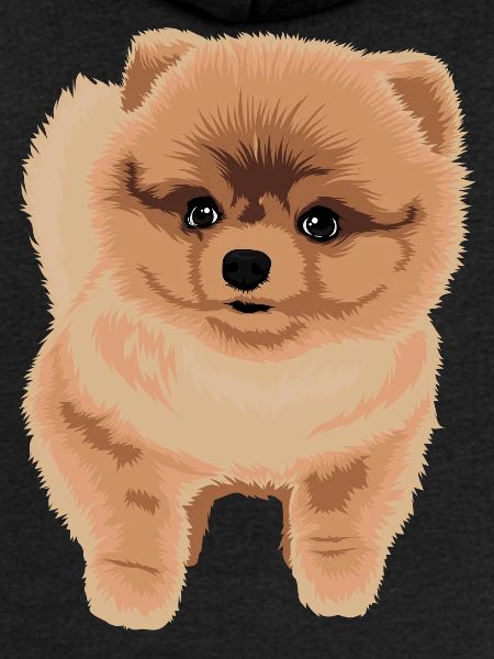 Pomeranian hvalp dværg Spitz hund gave