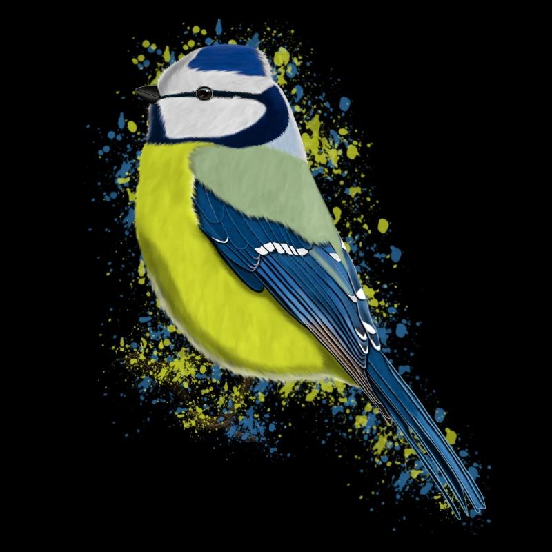 Blaumeise Vogel Vogelfreund Vogelbeobachter
