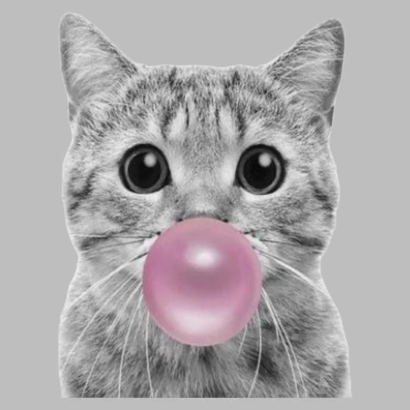 Bubble Katze