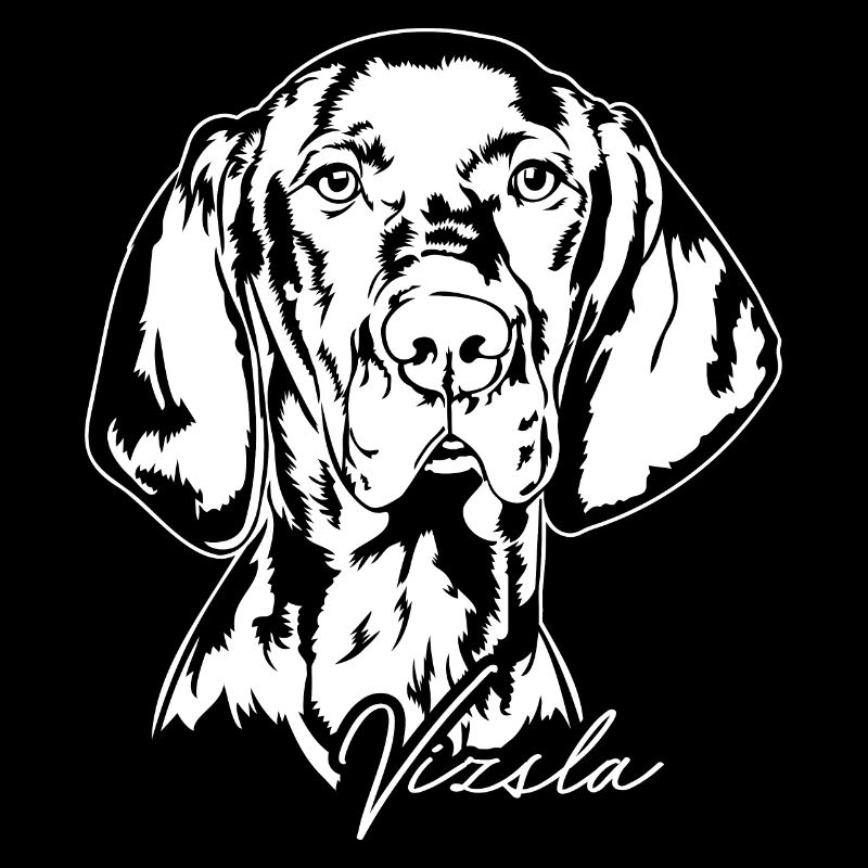 Vizsla Portrait Chien de chasse Chiens Wilsigns