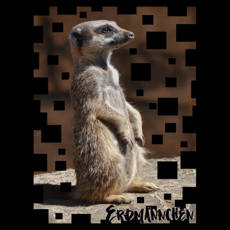 Erdmännchen