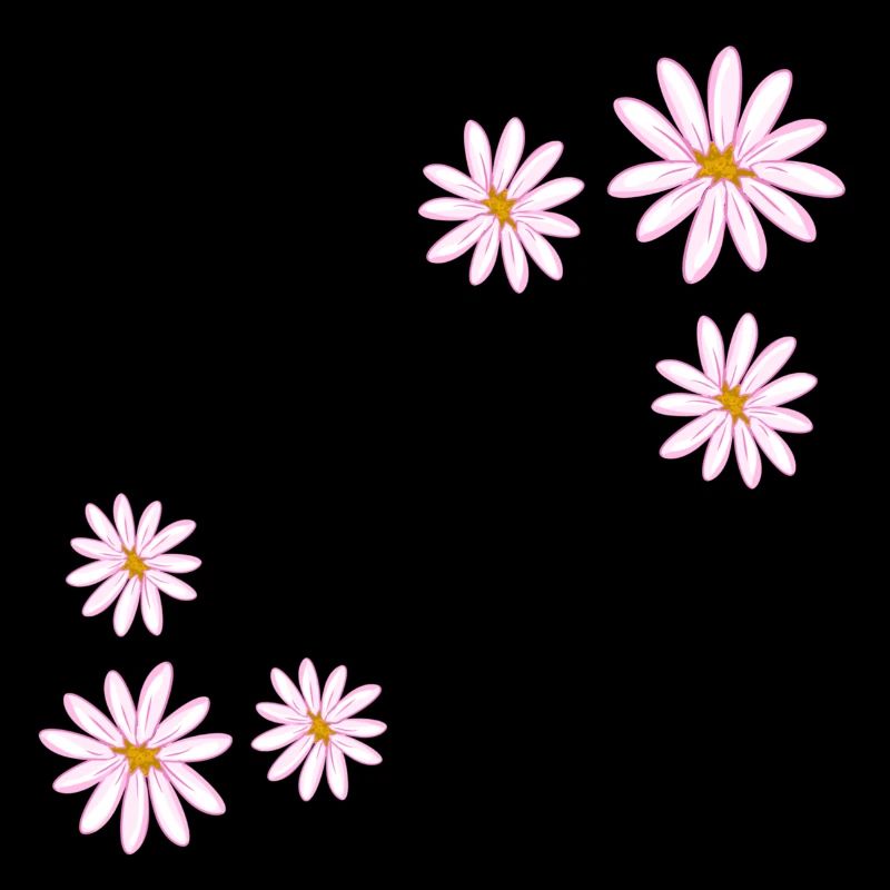 Fleurs roses fleurs plantes fleur