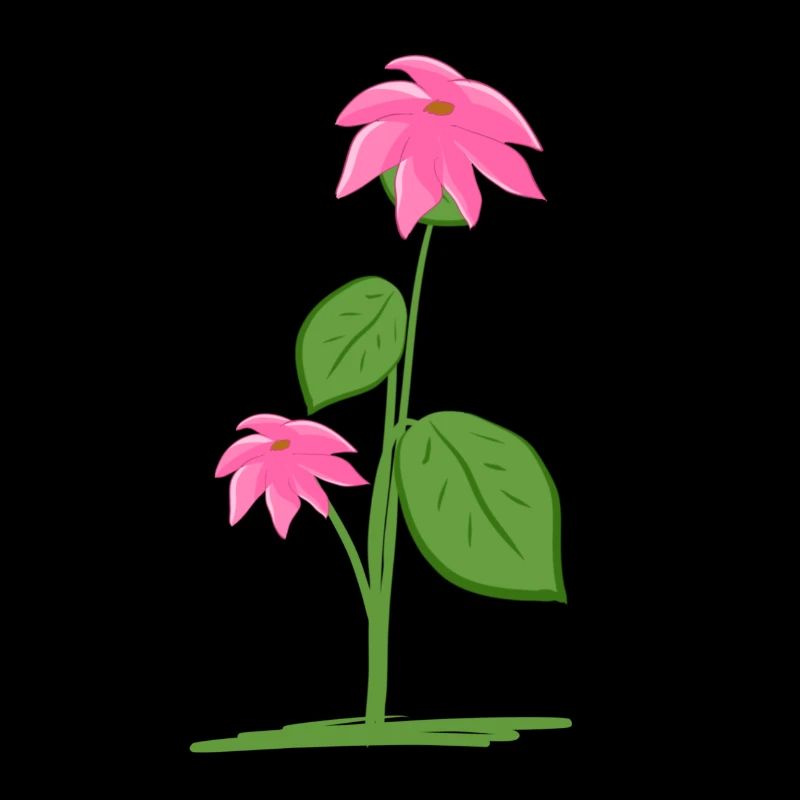 Planter des fleurs végétales