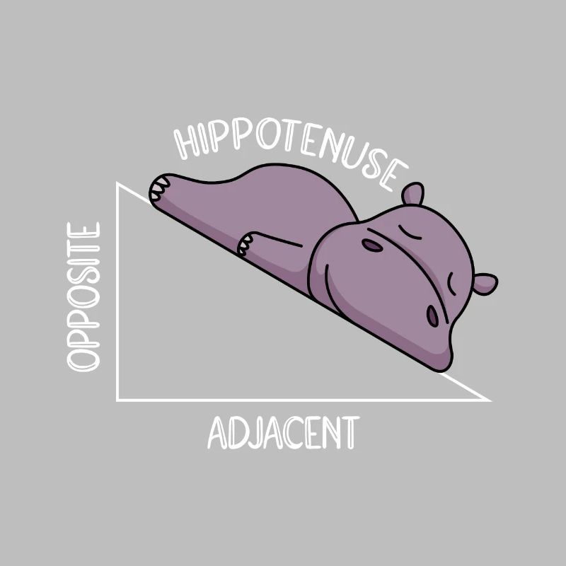 Algebra Math Student Math Teacher Hippotenuse