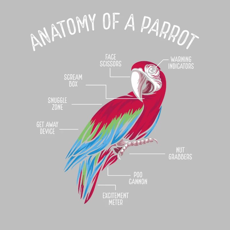 Anatomie d’un perroquet