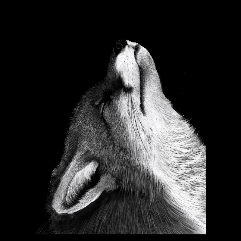 Fuchs