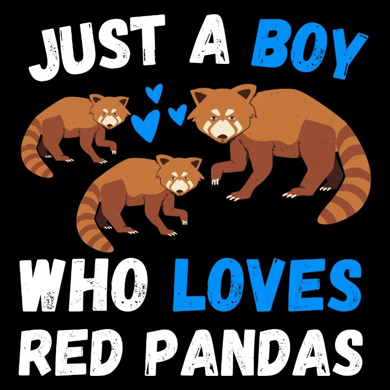 Chinesisches Tier Jungen Geschenk Roter Panda