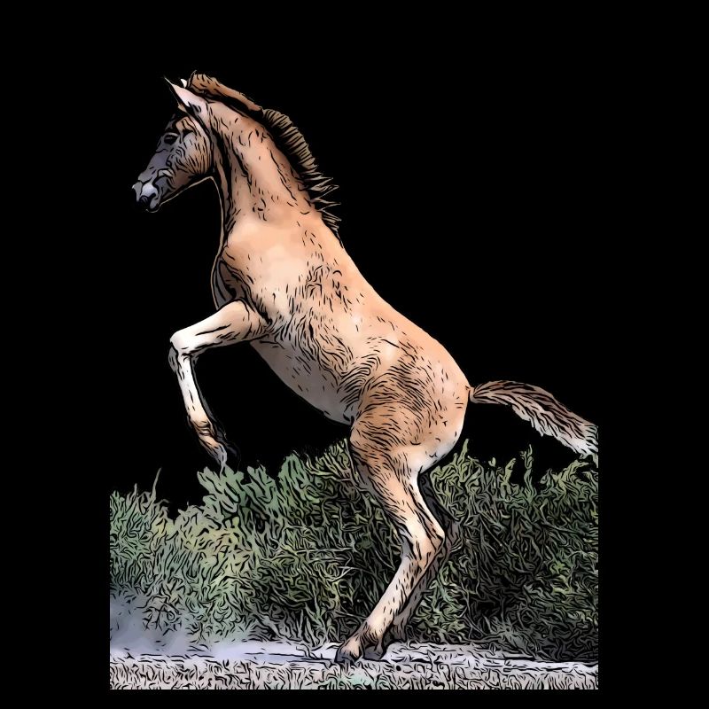 Junges Pferd