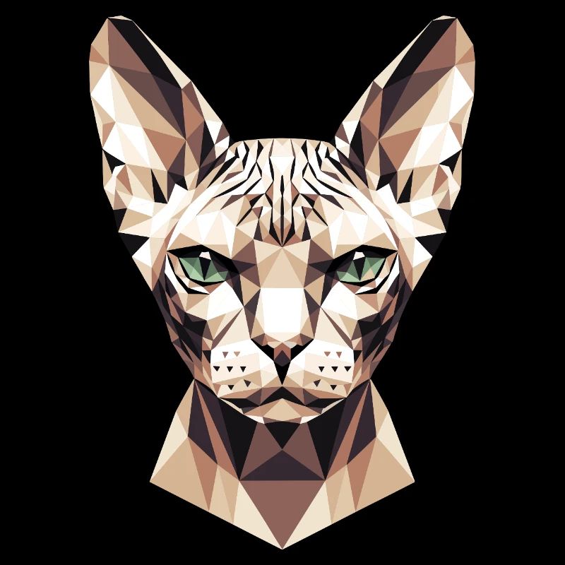 Sphynx Chat Sphynx Chat Chat Canadien Sphinx mignon