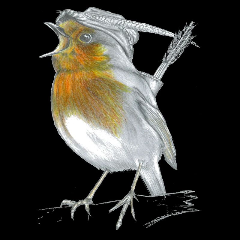 Rotkehlchen Robin Hood