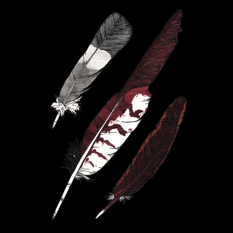Feather Collection - Three Feathers Hand Drawn