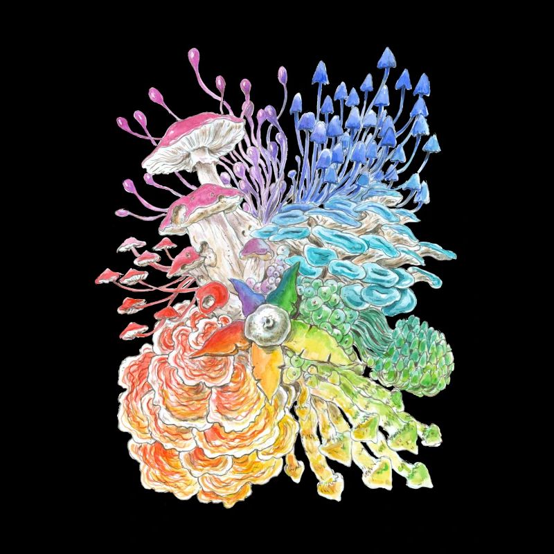 Rainbow Mushrooms / diversity