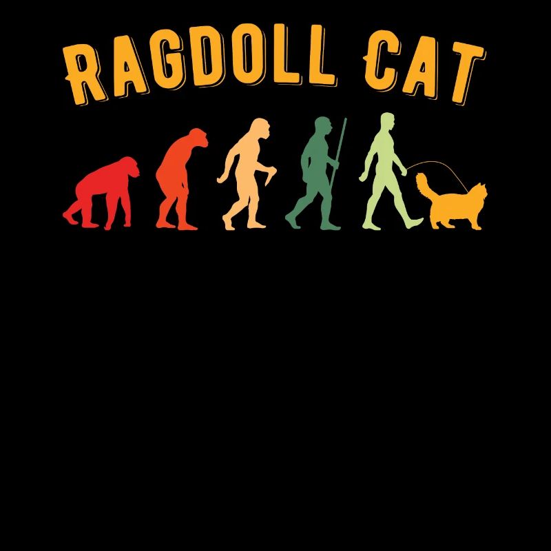 Ragdoll Cat Ragdoll Cat Propriétaire