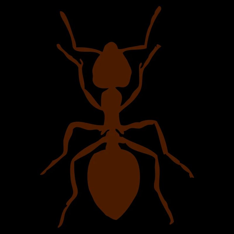 Ant animal insect small gift idea crawl