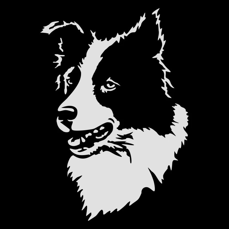 Border Collie ohne Text