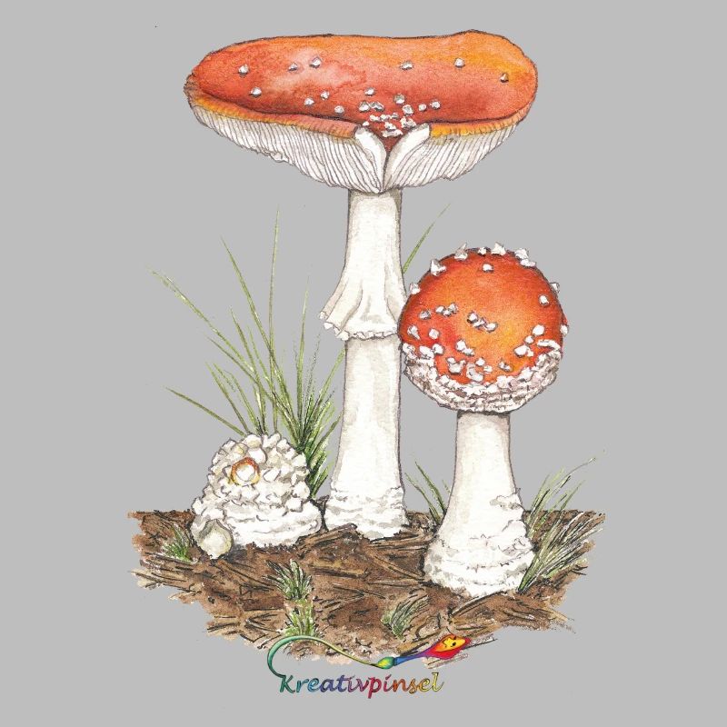 Toadstool