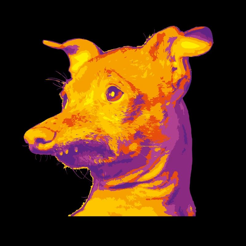 Mein Thunfischhund