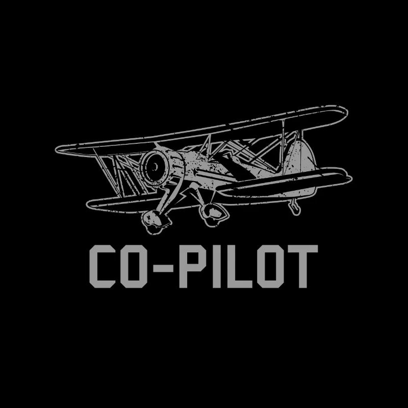 Co-pilot pilot flying