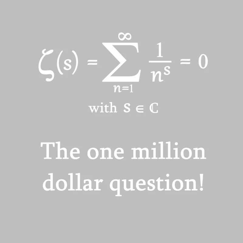 Riemann Zeta Function Math Mathematician Nerd