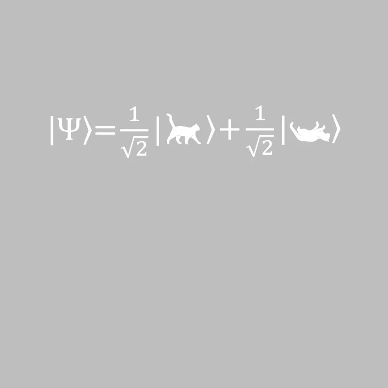 Schrödinger's Cat - Physicist Gift Physics Nerd