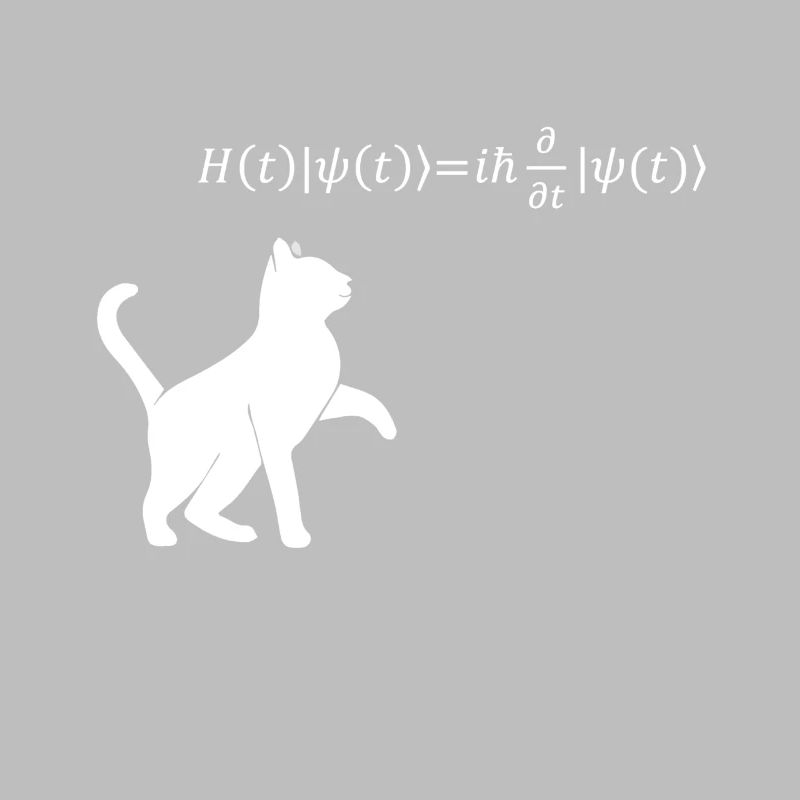 Schrödingers Katze - Physiker Geschenk Physik Nerd