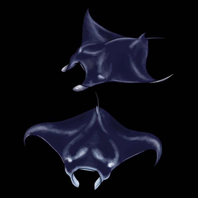 Mantarochen Motiv Illustration Meeresbewohner