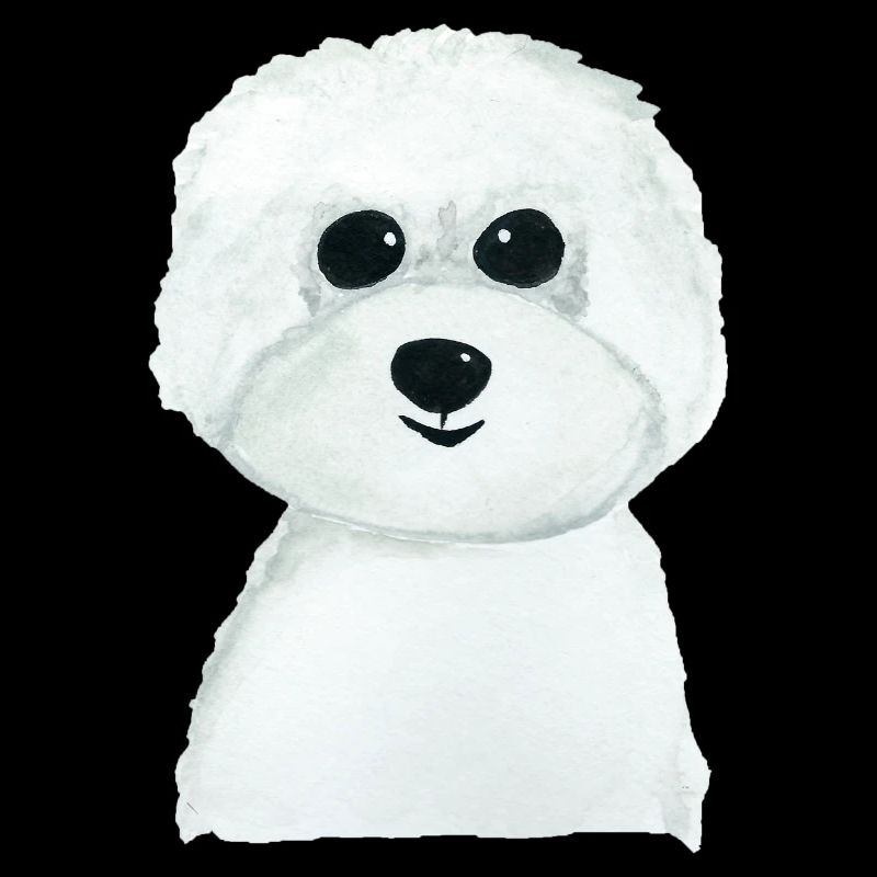Bichon Hündchen