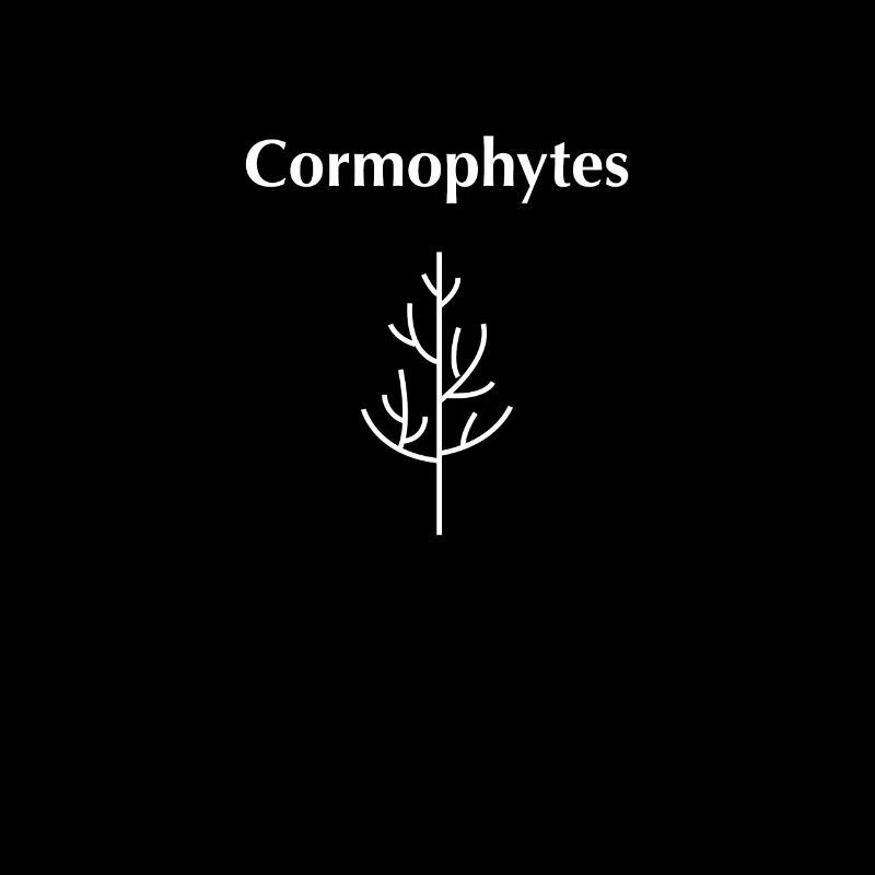 Cormophyten
