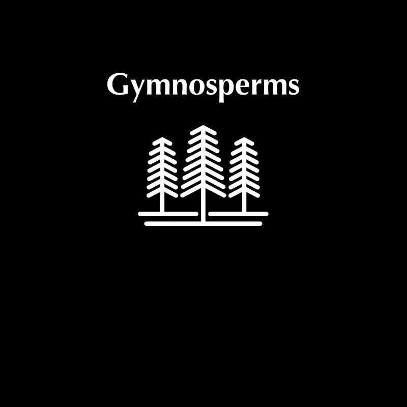 Gymnospermen