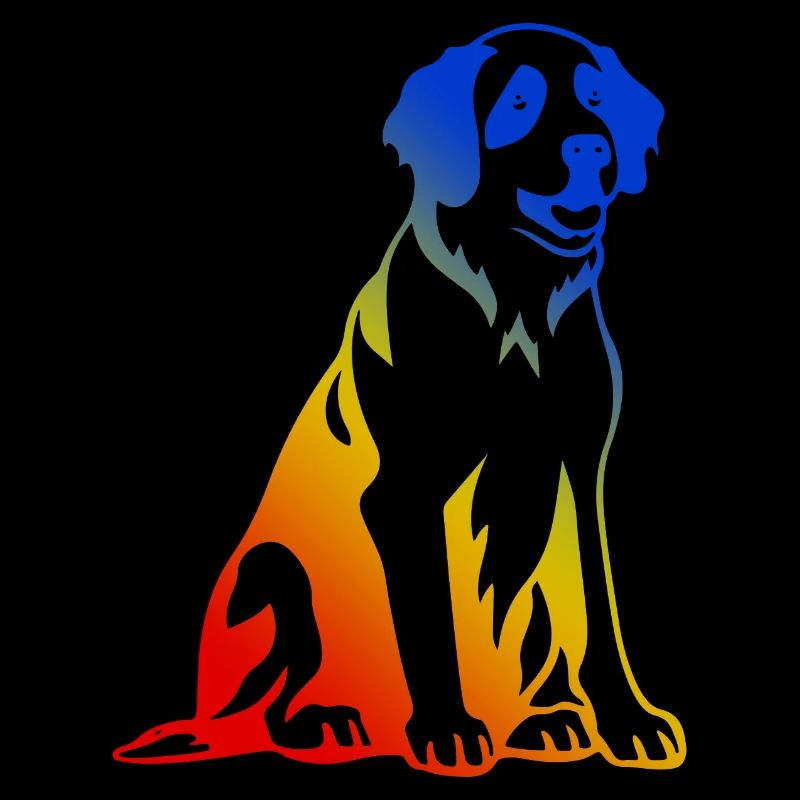 Saint Bernard Hund