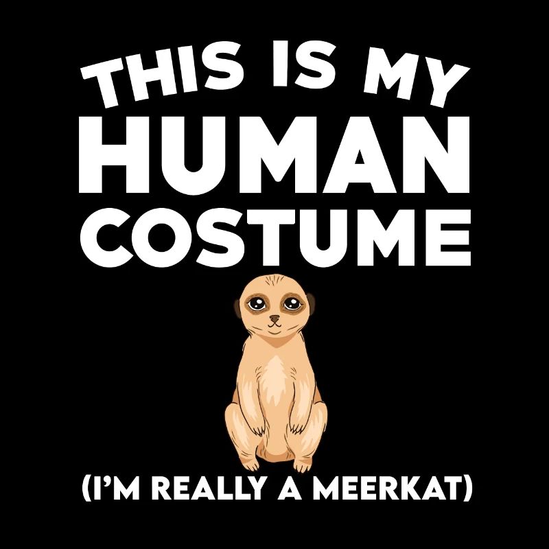 Drôle de tenue de suricate