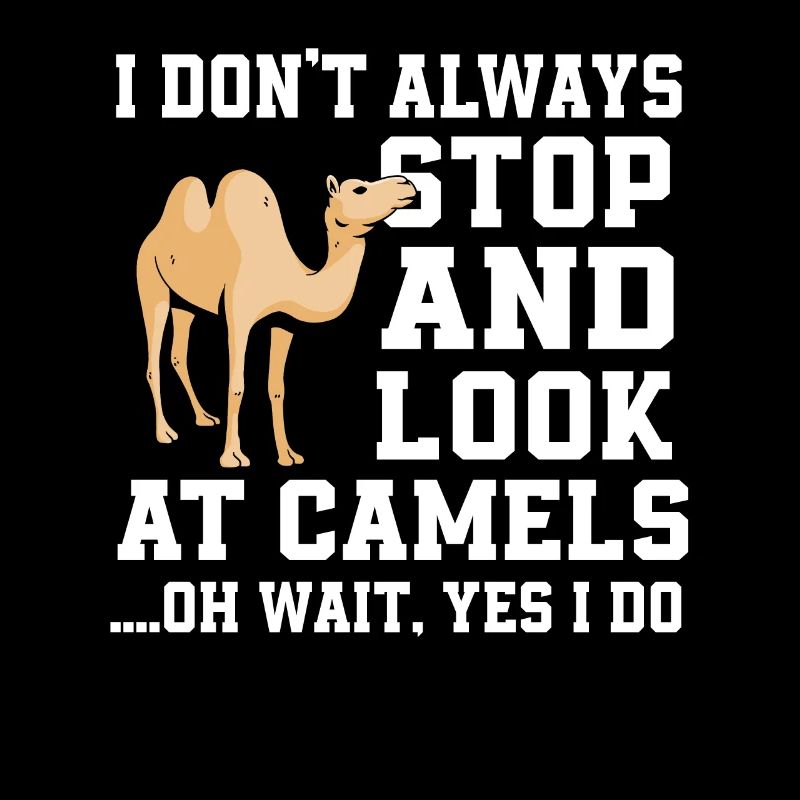 Funny camel proverb