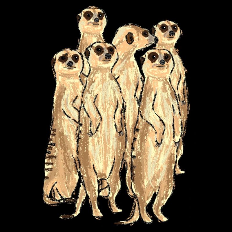 Conception de suricate / suricate