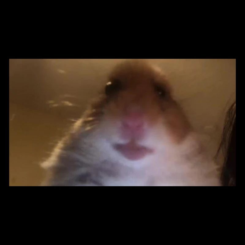 meme hamster