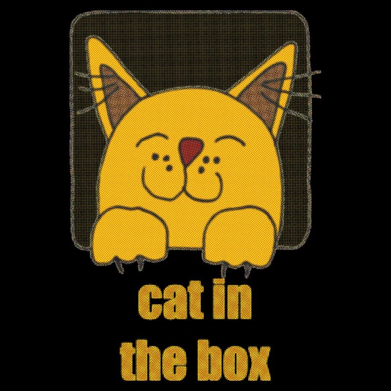 chat dans la boîte