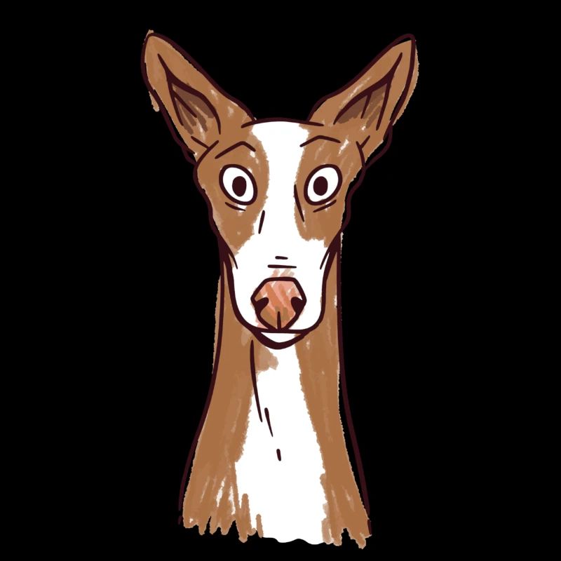Podenco Dog Cool Podenco Ibicenco