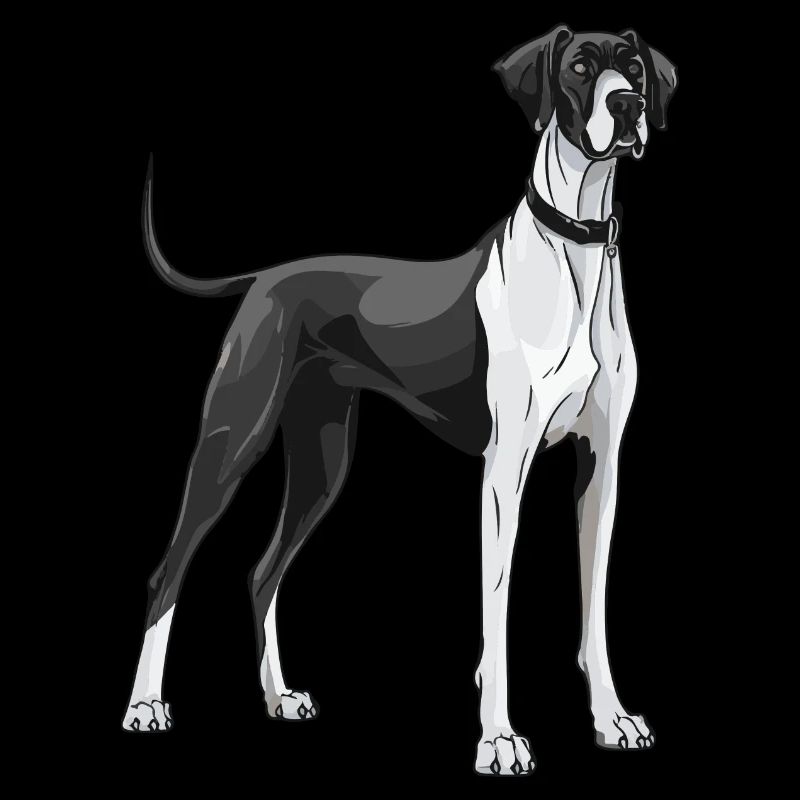 Great Dane Hund Tier