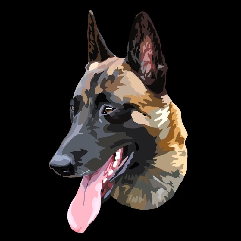 berger malinois