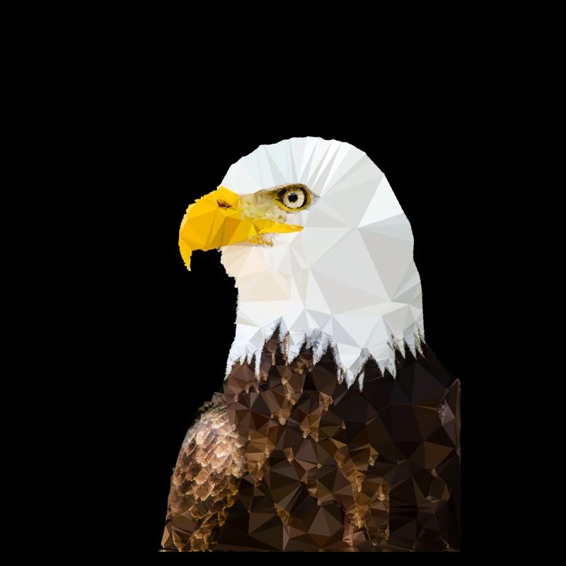 Bald eagle in low poly style