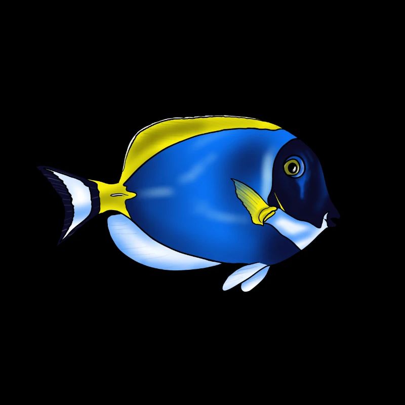 Leucosternon Surgeonfish
