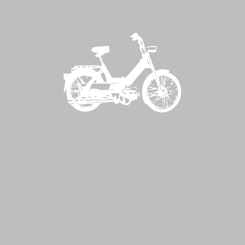 DDR Mobylette Oldtimer Roller Mofa Scooter 2 Takter