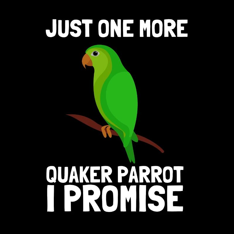 Blue Quaker Parrot Mom
